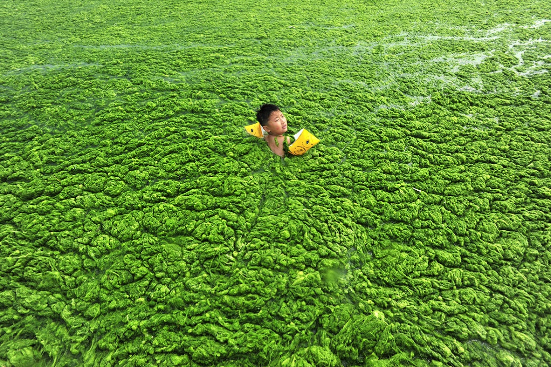 File:China-water-pollution-10.jpg