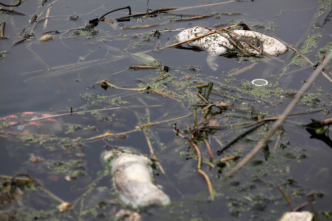 File:China-water-pollution-7.jpg