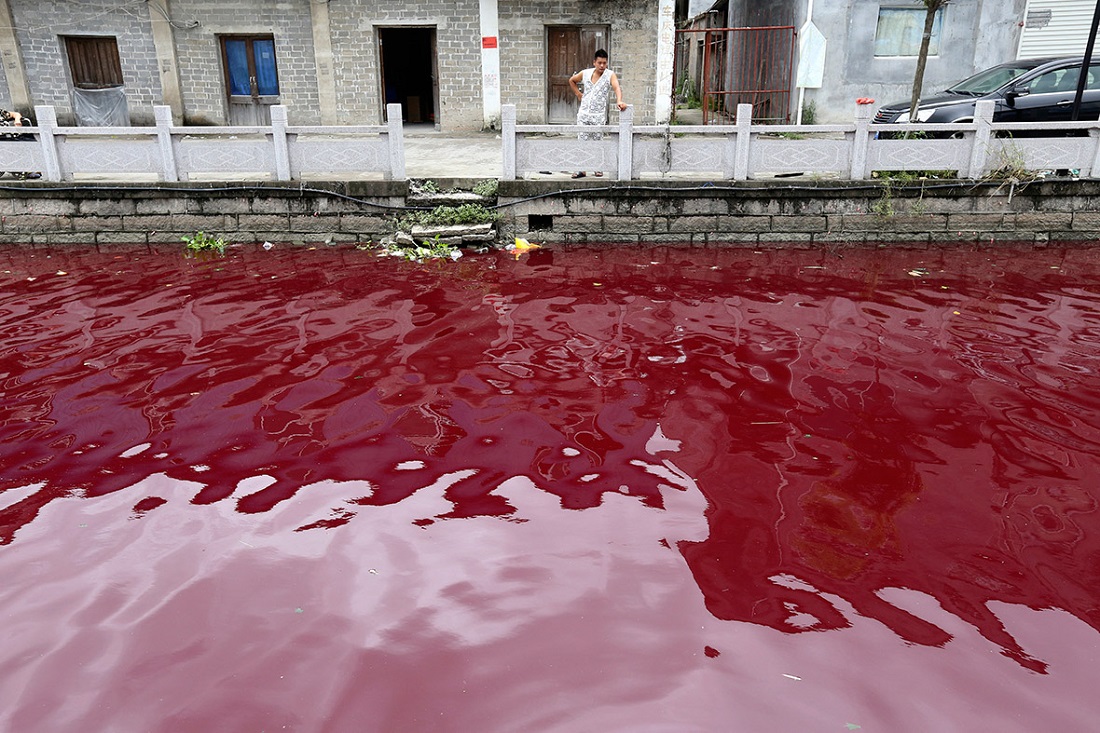 File:China-water-pollution.jpg