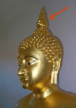 File:Buddha2.gif